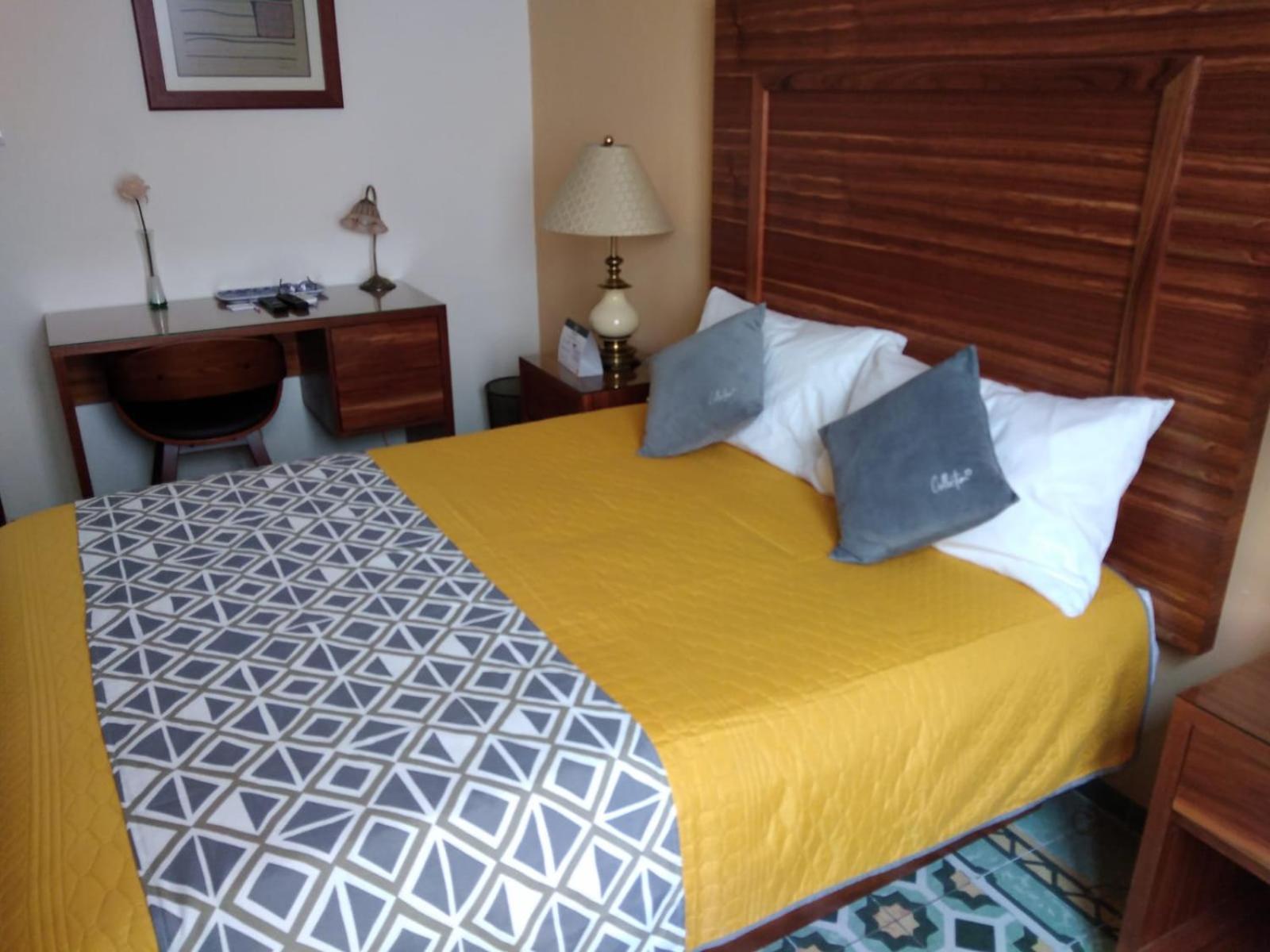 Hotel Casa Constanza San Luis Potosí Екстериор снимка
